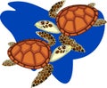 Two cartoon sea turtles